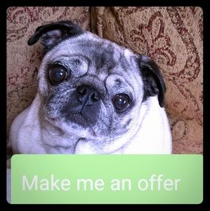 See something you like please make an offer